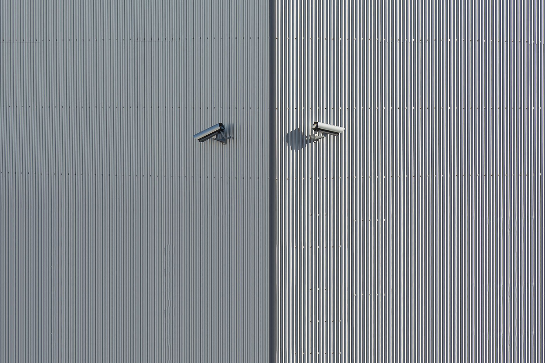 Surveillance monitoring system
