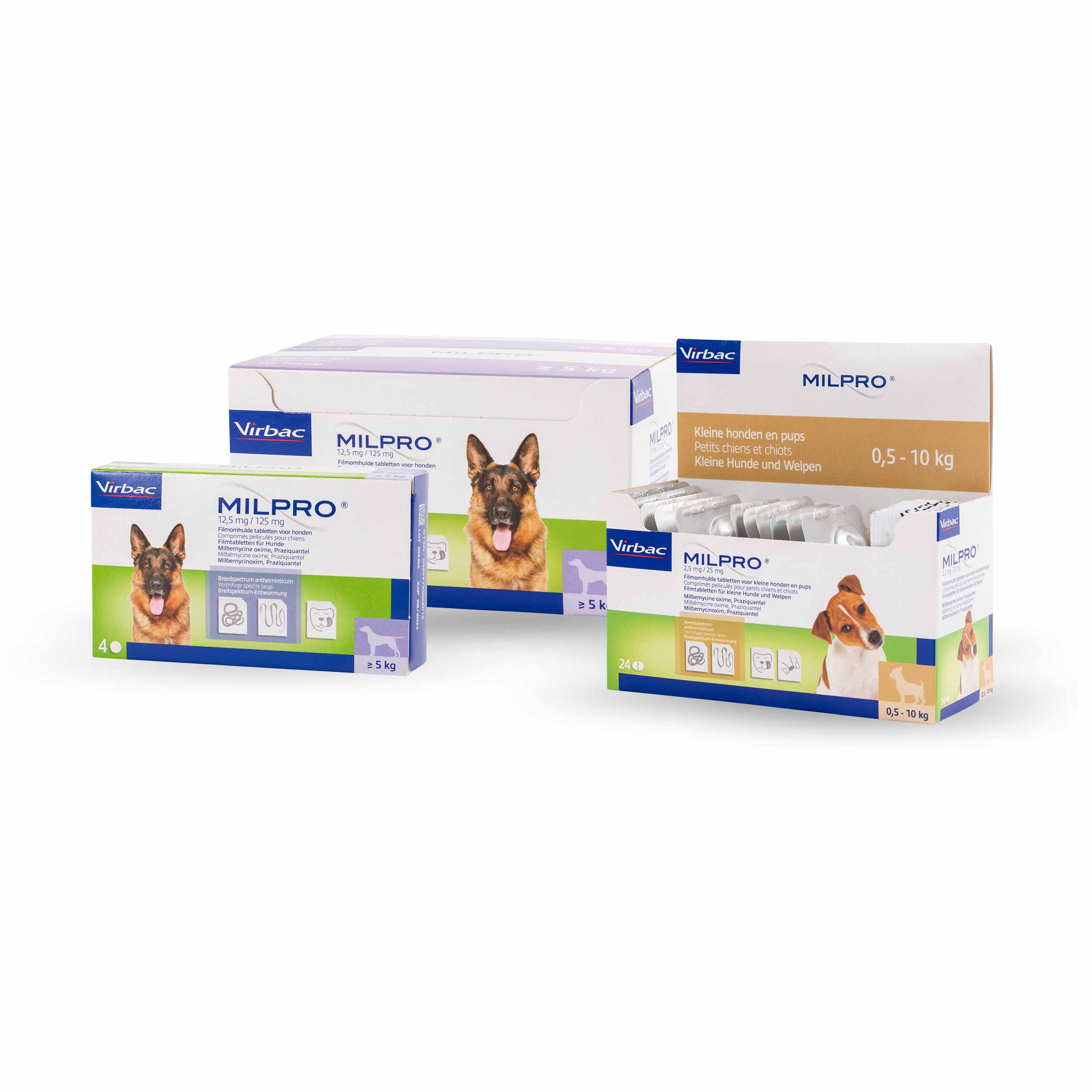 Skin and coat health solutions for pets